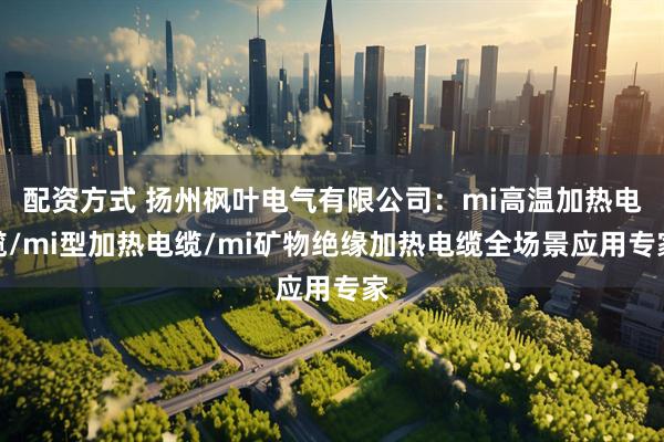 配资方式 扬州枫叶电气有限公司：mi高温加热电缆/mi型加热电缆/mi矿物绝缘加热电缆全场景应用专家