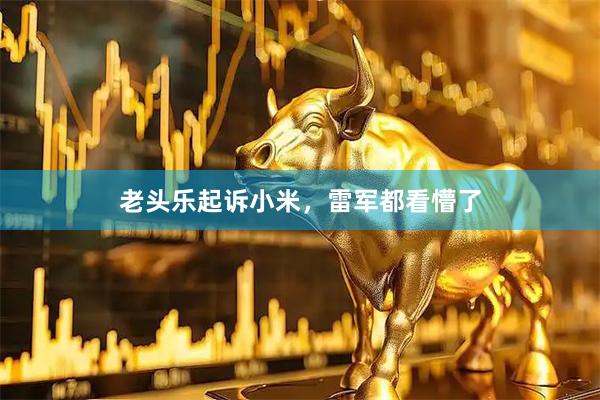 老头乐起诉小米，雷军都看懵了