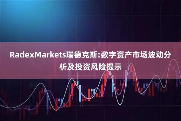RadexMarkets瑞德克斯:数字资产市场波动分析及投资风险提示