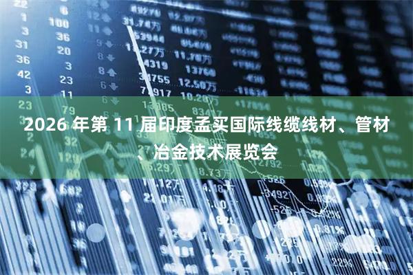 2026 年第 11 届印度孟买国际线缆线材、管材、冶金技术展览会