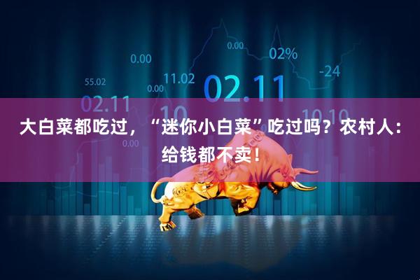 大白菜都吃过，“迷你小白菜”吃过吗？农村人：给钱都不卖！