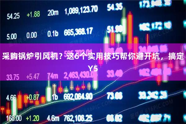 采购锅炉引风机？这6个实用技巧帮你避开坑，搞定Y5