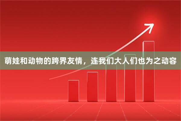 萌娃和动物的跨界友情，连我们大人们也为之动容