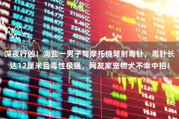 深夜行凶！海盐一男子驾摩托持弩射毒针，毒针长达12厘米且毒性极强，网友家宠物犬不幸中招！